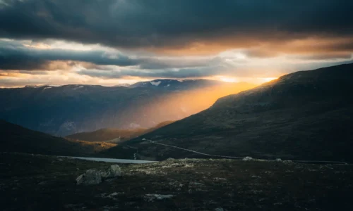 Waarom licht de basis is van elke foto