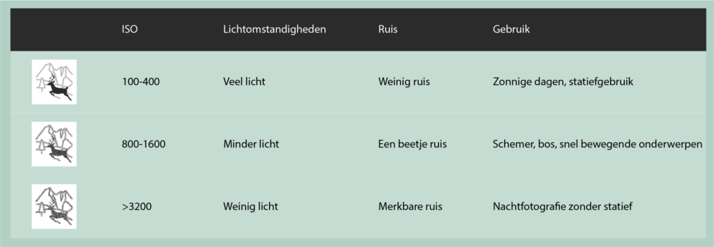 Illustratie wat het effect van ISO op je foto is